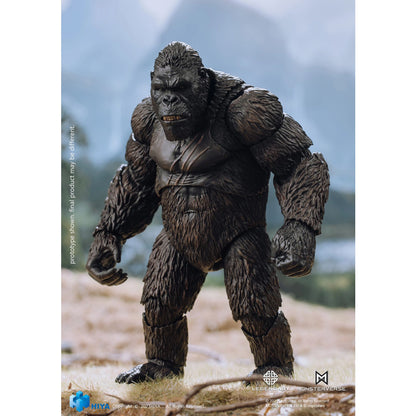 Hiya | PX Kong Sull Island Empire AF