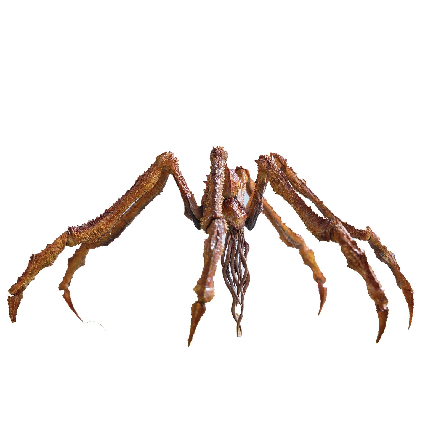 Hiya | Godzilla X Kong AF (Net)