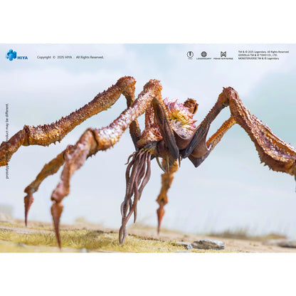 Hiya | Godzilla X Kong AF (Net)