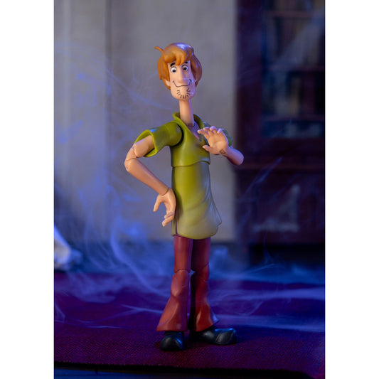 Jada | SCOOBY DOO WAVE 1 SHAGGY 6IN A